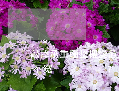 敲掉承重墻，整樓變危房！業(yè)主被罰，冤不冤？